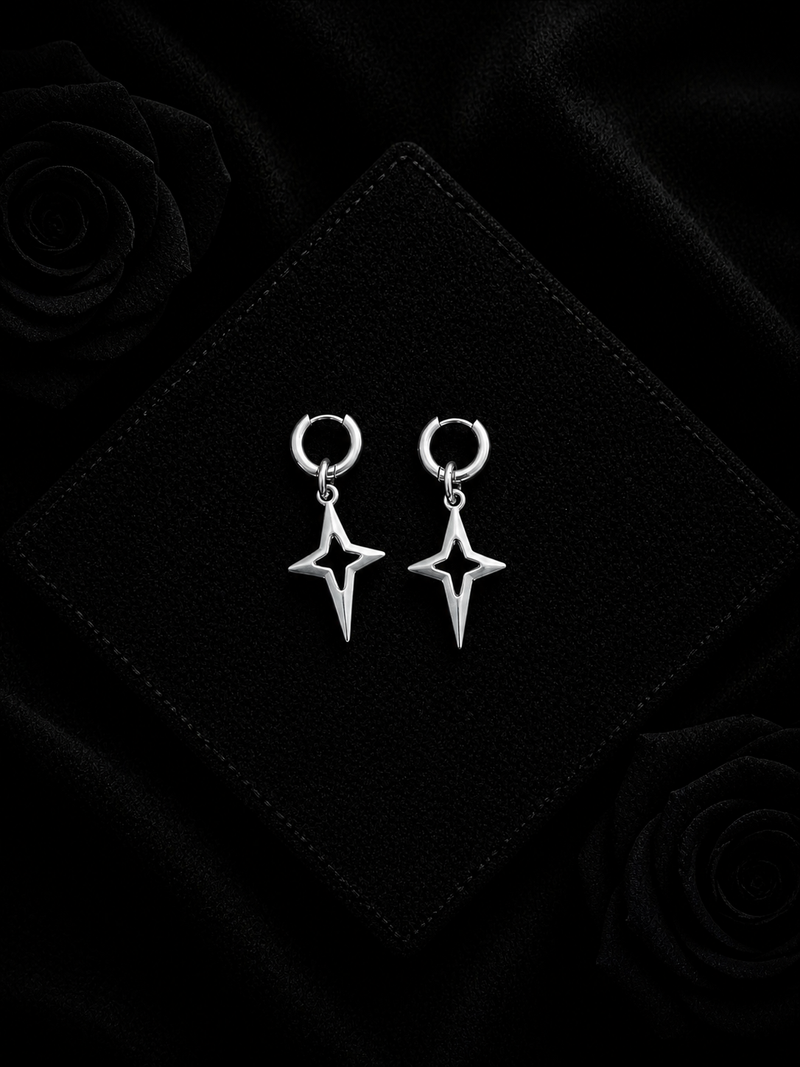 FALLEN STAR EARRINGS